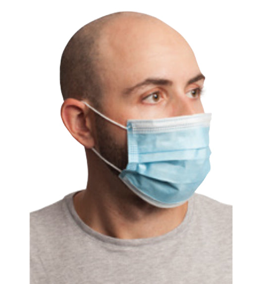 Pleated Dust Masks